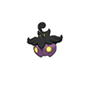 Average Pumpkaboo Average Pumpkaboo